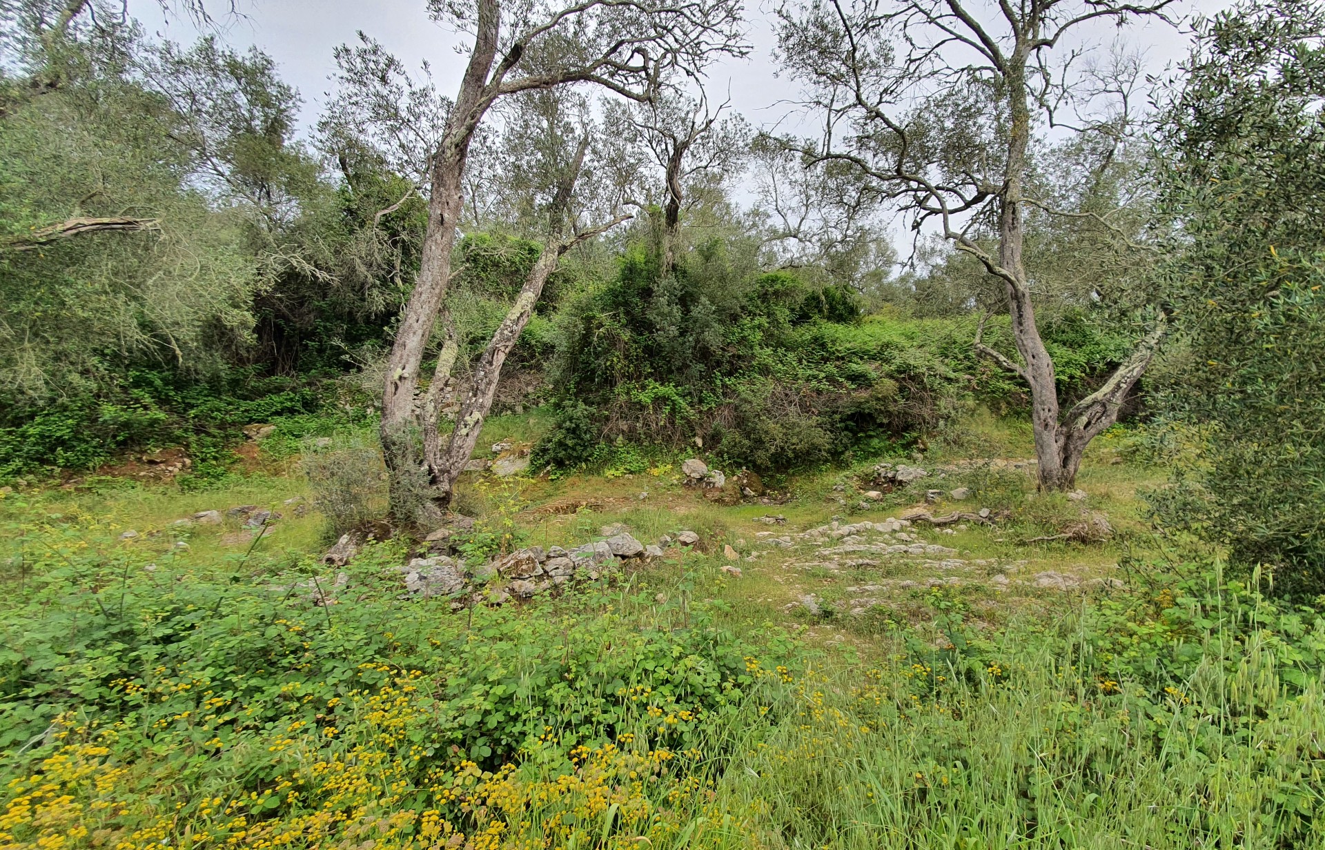 image presenting excursion Ancient Necropolis